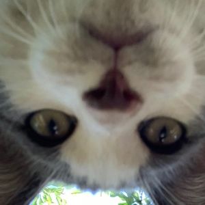 Meet your Posher, Joanne